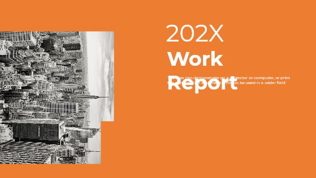Work Report